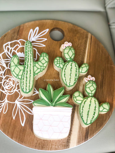 2/29 10:30a Leap into Spring - cacti class